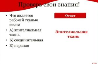 Что является рабочей тканью желез