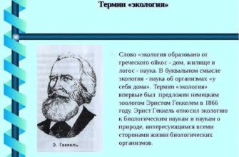 Что такое нравственность определение