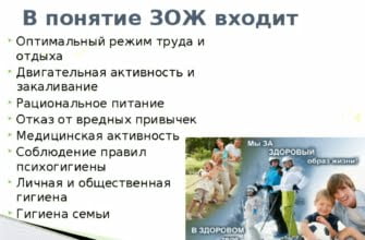 Что входит в понятие зож
