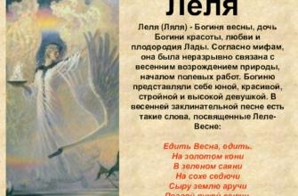 Где находится трахея у человека рисунок