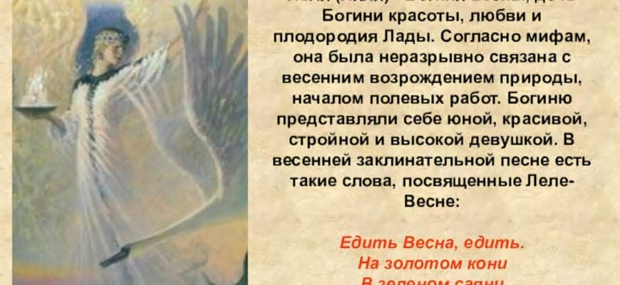 Где находится трахея у человека рисунок