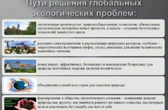 Как в современном мире решаются экологические проблемы
