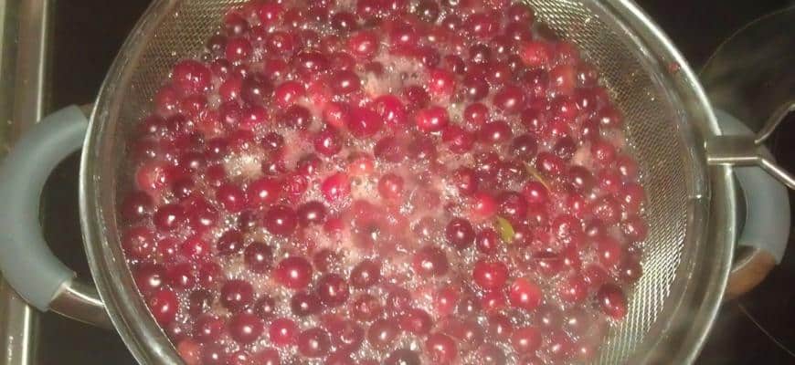 Как варить клюквенный морс из замороженной клюквы