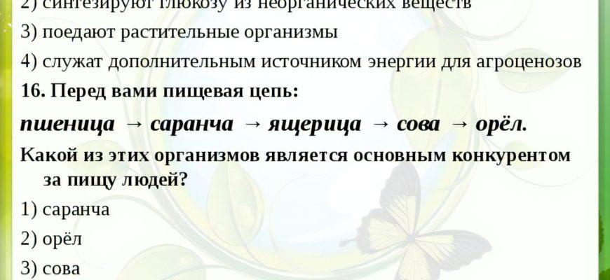 Какова роль разрушителей в экологических сообществах