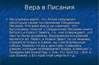 Карри приправа применение к каким блюдам