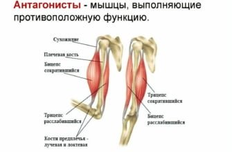 Хари кришна хари рама что это