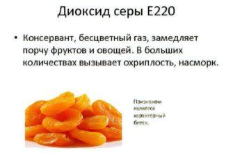 Консервант диоксид серы что это