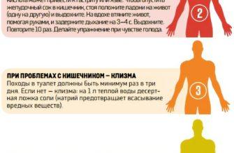Лечебное голодание как правильно это делать