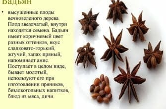 Пряность в виде звездочки как называется
