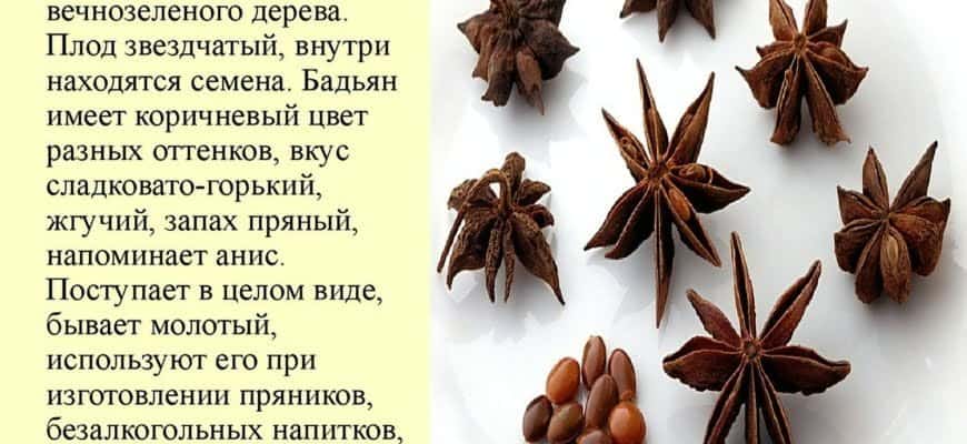 Пряность в виде звездочки как называется