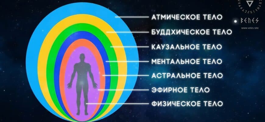Сколько тел у человека кроме физического