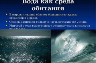 Вода как среда жизни обладает следующими свойствами