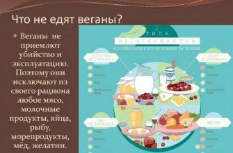 Что не едят веганы