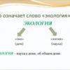 Что обозначает слово экология
