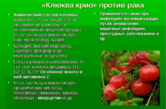 Что содержит клюква