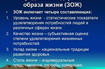 Что такое зож определение