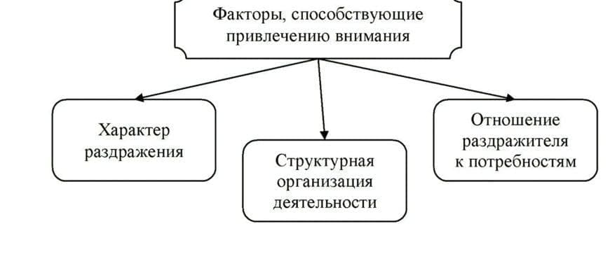 Факторы способствующие привлечению внимания