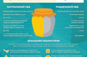 Как узнать настоящий мед или нет