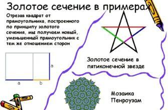 Какая мышца разгибает ногу в колене