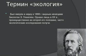 Кто ввел в науку термин экология