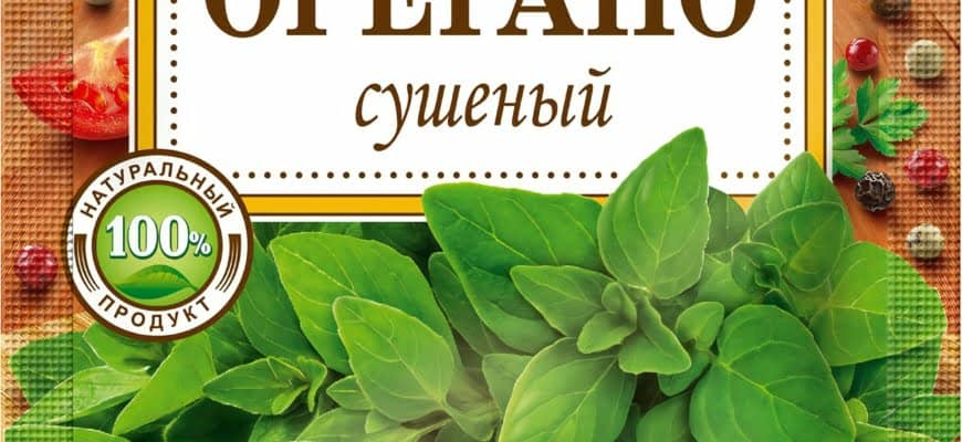 Орегано что это за приправа