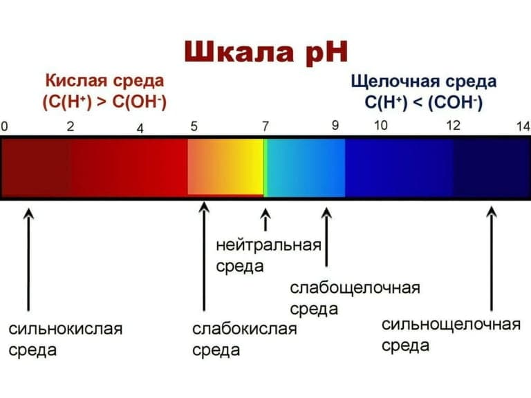 Ph больше 7 какая среда