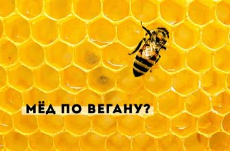 Почему веганы не едят мед