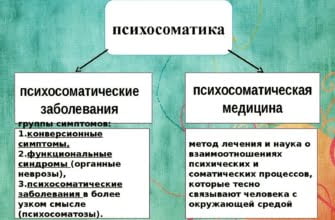 Соматика что это в медицине